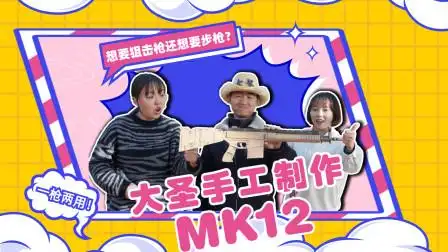 大圣又想要狙击枪又想要步枪,为了两不耽误,手工自制mk12