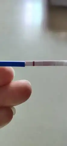 姨妈推迟一天,用早孕试纸怎么测出来这样呀,是怀孕吗