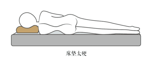 能陪你好好睡觉的不止有爱人还有它