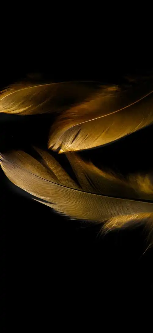 1080_2340竖版 竖屏