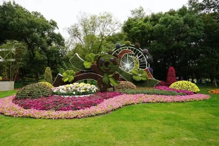 人气爆棚满园花菊郁金黄2020上海菊花展迎来近6万市民游客