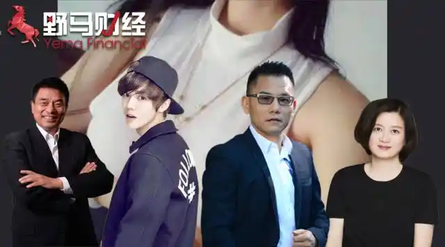 晗高源投资公司占股约15%,华视占股约14%,鹿晗的高中同学高苏尧持股7