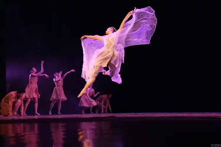 高雅艺术进校园舞蹈专场演出走进我校