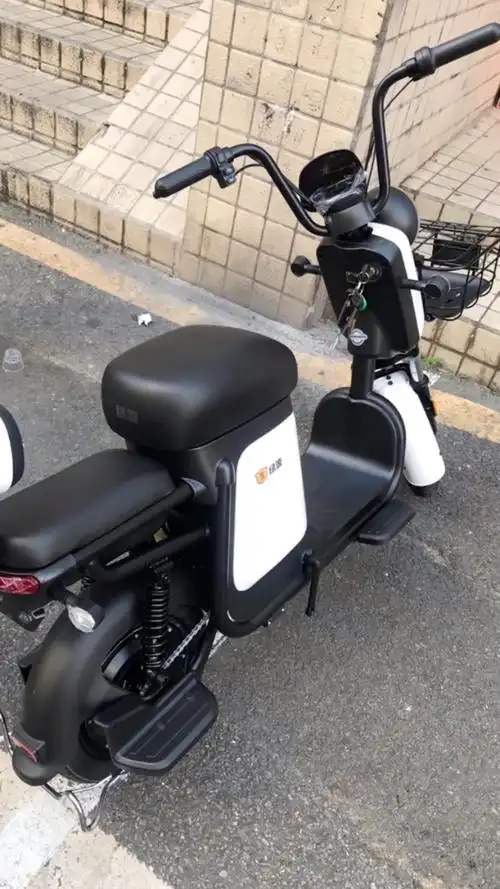 绿源电动车zfb 48v24a