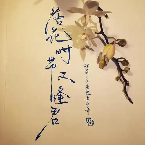 丽水微课平台-青田县教育局教学研究室-初中语文课外古诗词1-江南逢李