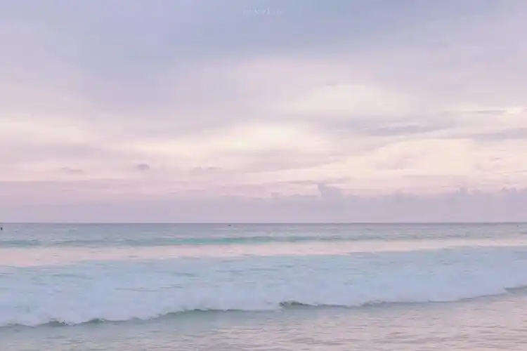 壁纸可以少女心到什么程度呀