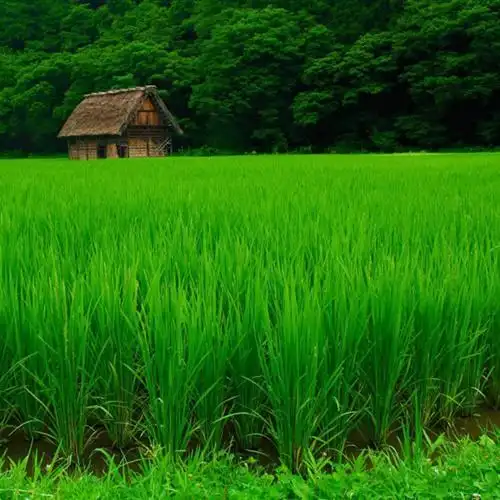 特别好看风景头像美到爆的自然风景美醉了