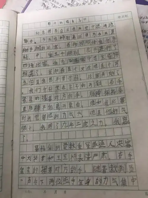 那次玩得真高兴抄写作文