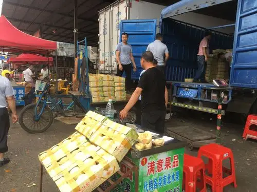 代销水果日志:东莞下桥水果品批发市场东方蜜一号交易火爆-广东水果