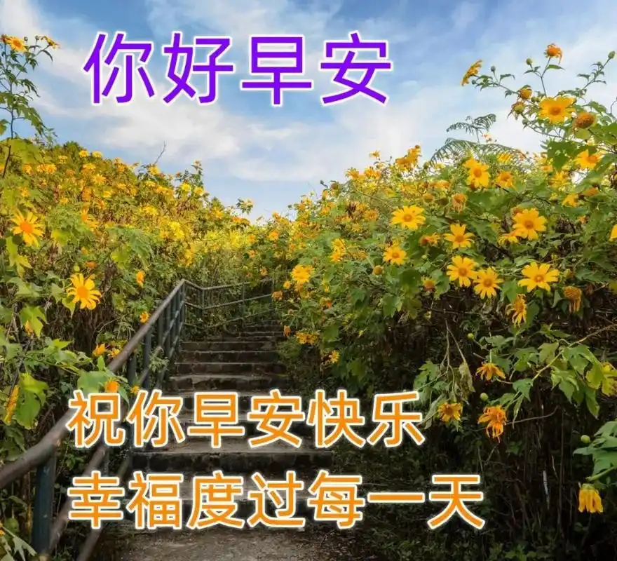 微信问候朋友早上好温馨祝福语句,最新早上好唯美问候图片