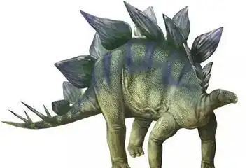 背上有剑叶的装甲恐龙剑龙的特点介绍- 育儿百科- 杨二嫂网