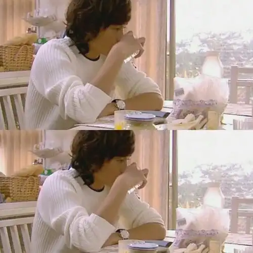 恶作剧之吻,江直树,郑元畅江直树