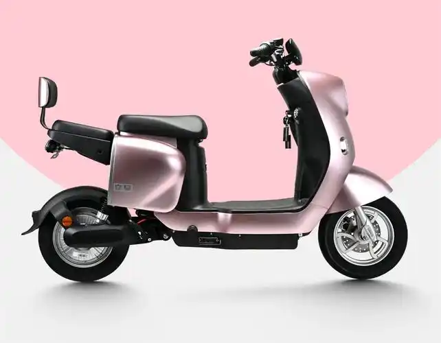 立马推出新电动车乐娇最大可配48v24ah锂电池续航100公里