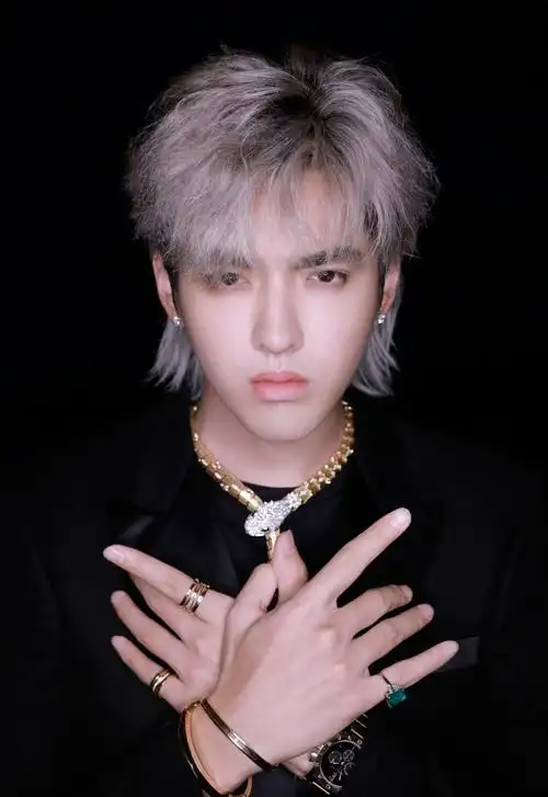 吴亦凡一头银色长发亮相 新造型你给打几分?