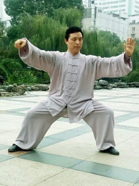 陈氏太极拳56式动作精选 ——胡万安