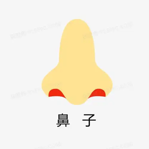 3 dpi格式 :psd授权方式: 不可商用i幼儿园卡通五官教学卡通鼻子幼儿