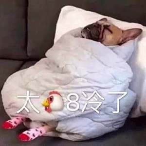 【表情包】沙雕表情包