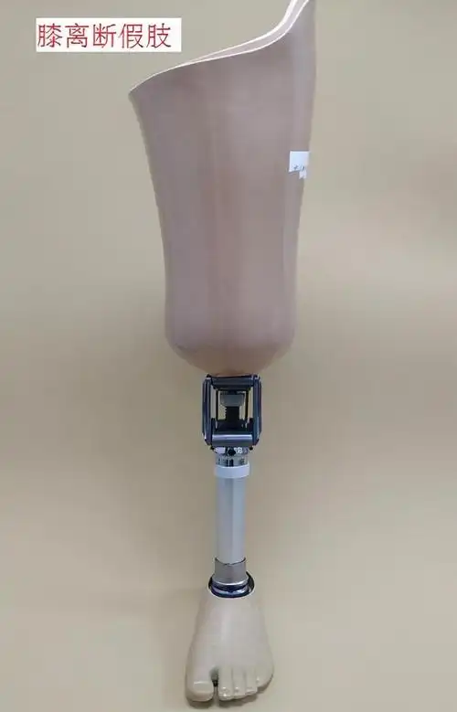 下肢截肢的类型及适用的假肢