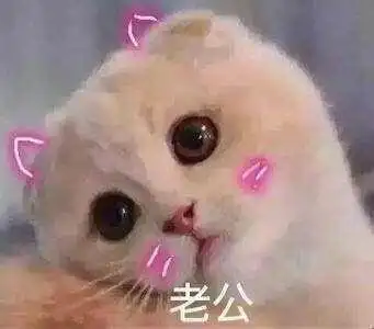 鹿锅他老公图片_鹿锅他老公动态图_鹿锅他老公表情包gif动图下载