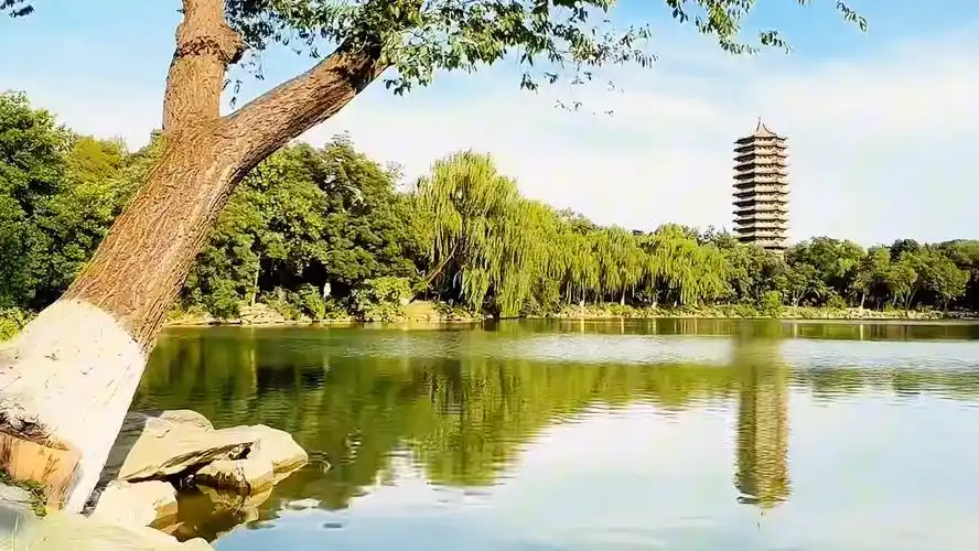 北大未名湖:宿命瞬间下的校园美景