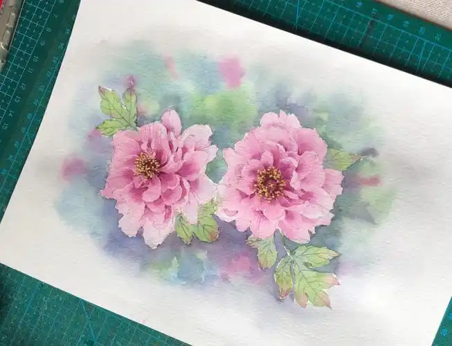 牡丹花水彩画牡丹花