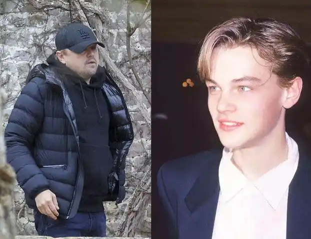 都说岁月是把杀猪刀,但对小李子下手也是狠了点儿.