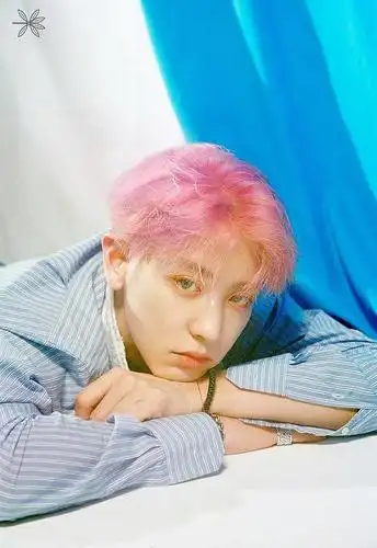 朴灿烈粉还是紫发