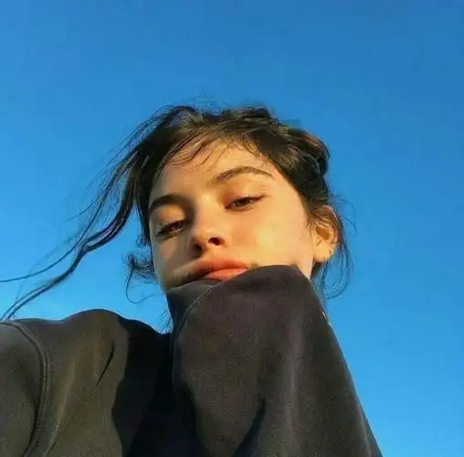 欧美头像均ins自截