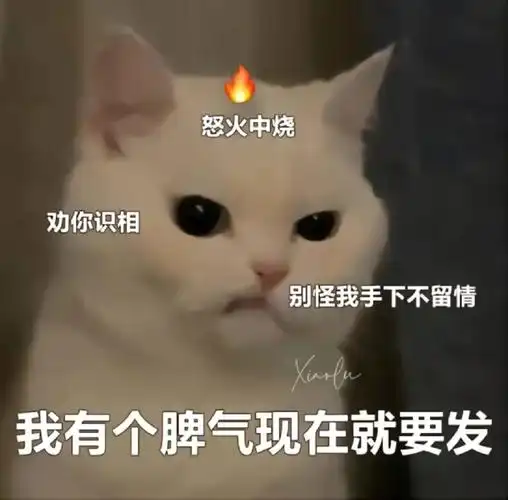 可爱表情包  #情侣吵架  #男朋友  #表情包分享  我有个脾气现在