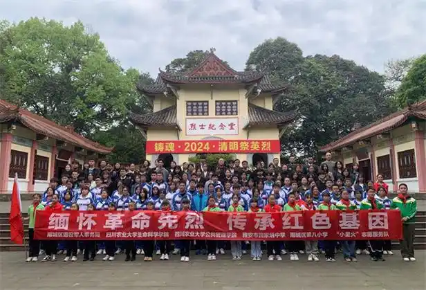 雅安市雨城区退役军人事务局联合大中小学校开展清明节主题党日活动