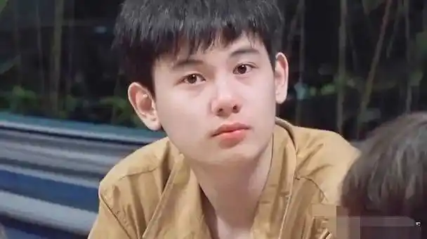 如今胡先煦五官已经有了男子汉的气质,但是看小时候的照片,从眉眼到