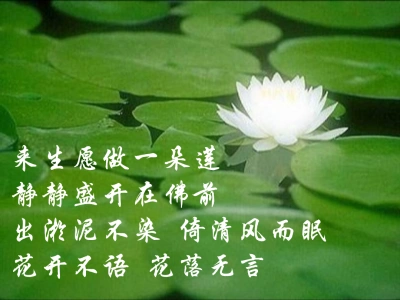 来生愿做一朵莲静静盛开在佛前出淤泥不染 倚清风而眠花开不语 花落
