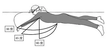 自由泳技巧练习基础部分