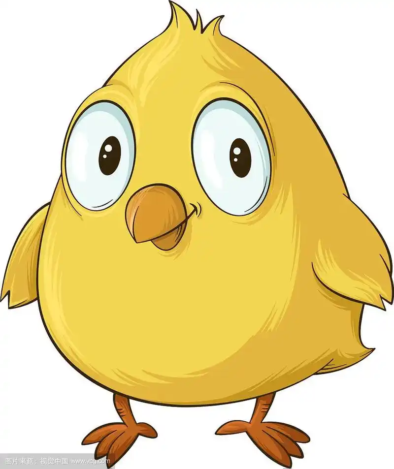 黄色的小鸡卡通