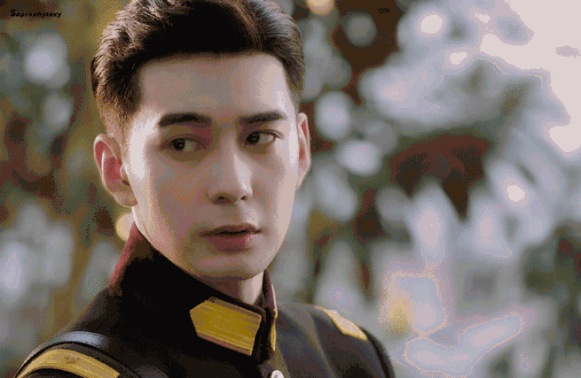 电视剧一见倾心