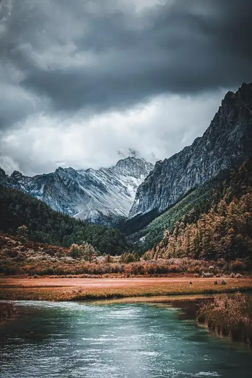 800_1200竖版 竖屏