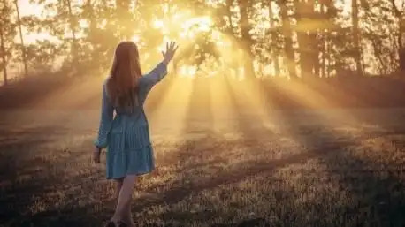 女孩,长发,裙子,背影,早晨的阳光,森林,唯美壁纸