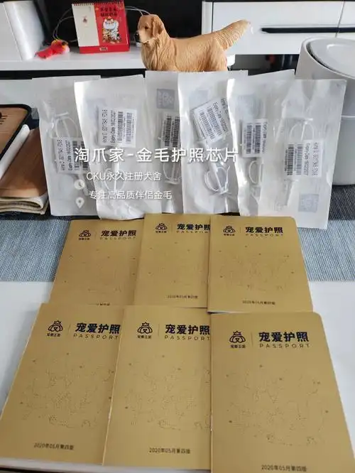 cku寄来的护照和芯片 小金毛也都有身份啦