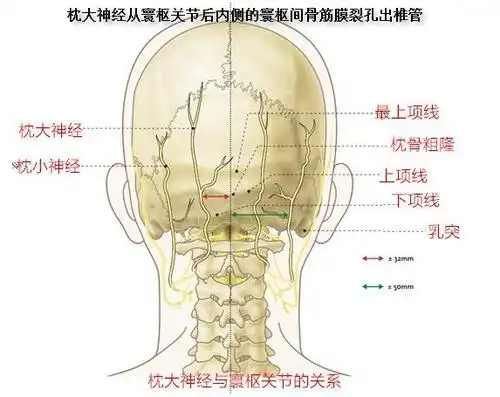 枕神经头痛与神经阻滞治疗_头痛 - 好大夫在线