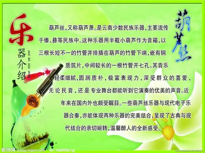 介绍葫芦丝 的课件.ppt