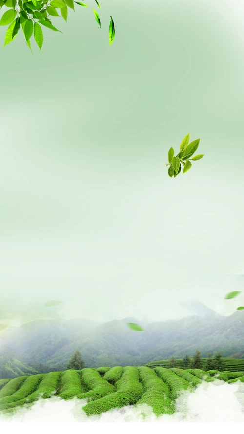 春天踏春绿色风景h5背景