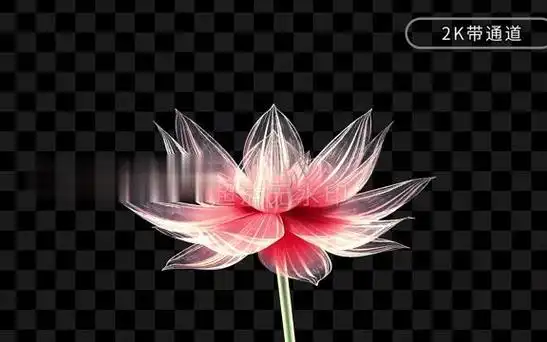 西博会展厅全息投影展柜360度视频片源 3d立体悬浮成像多功能三维透明