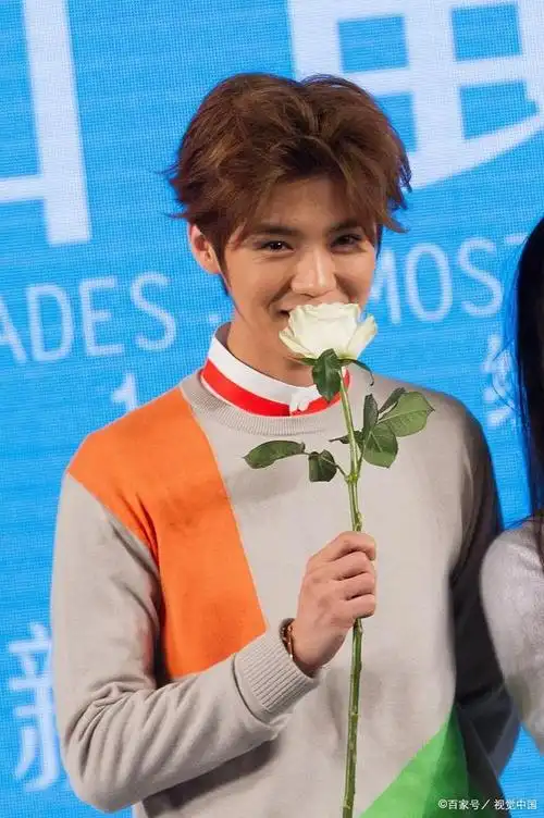 黄子韬遗憾取消杭州演唱会,但只有鹿晗能让他改变计划!