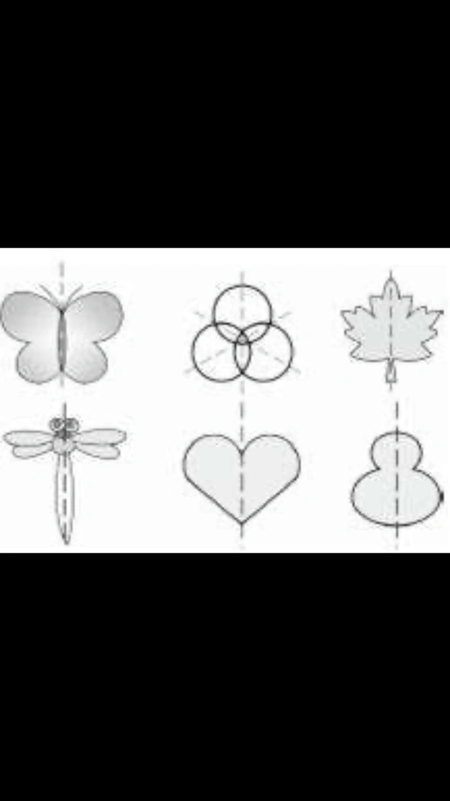 《纸艺中国》——有趣的轴对称图形