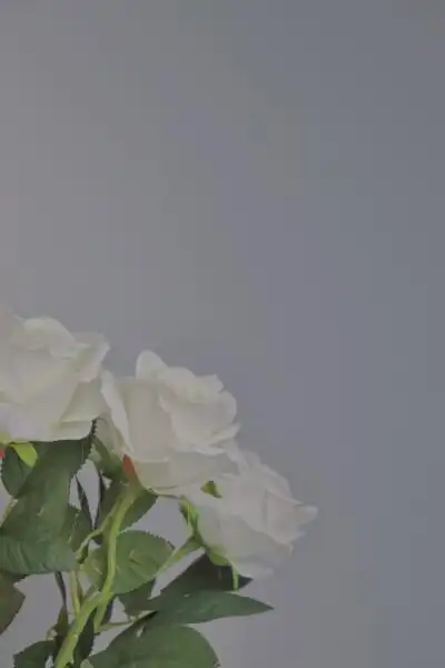 锁屏复古油画 - 堆糖,美图壁纸兴趣社区