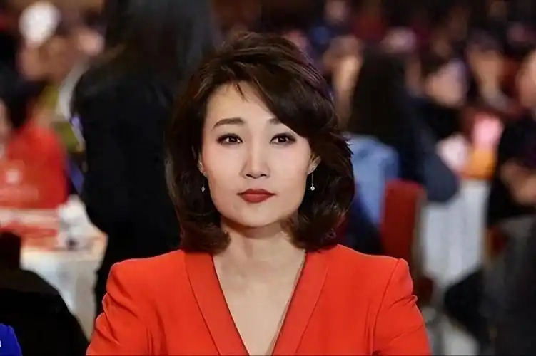 至今未婚四位央视女主持有人登顶光棍榜有人标准高到离谱