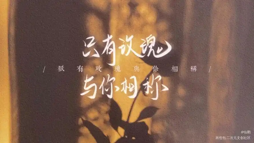 我只喜欢你的人设