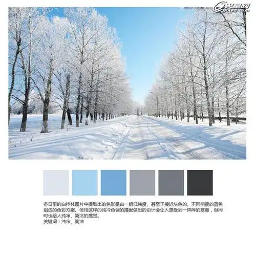 10个从图片中提取的色彩方案分析