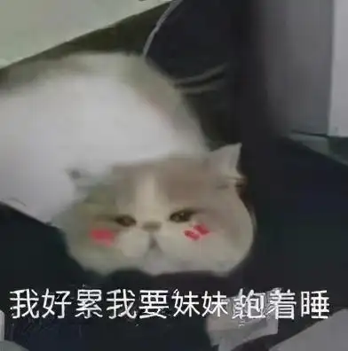 表情包:我好累我要妹妹抱着睡