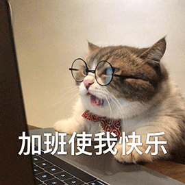 萌宠gif猫咪gif猫gif加班使我快乐gif加班gif搞怪gif